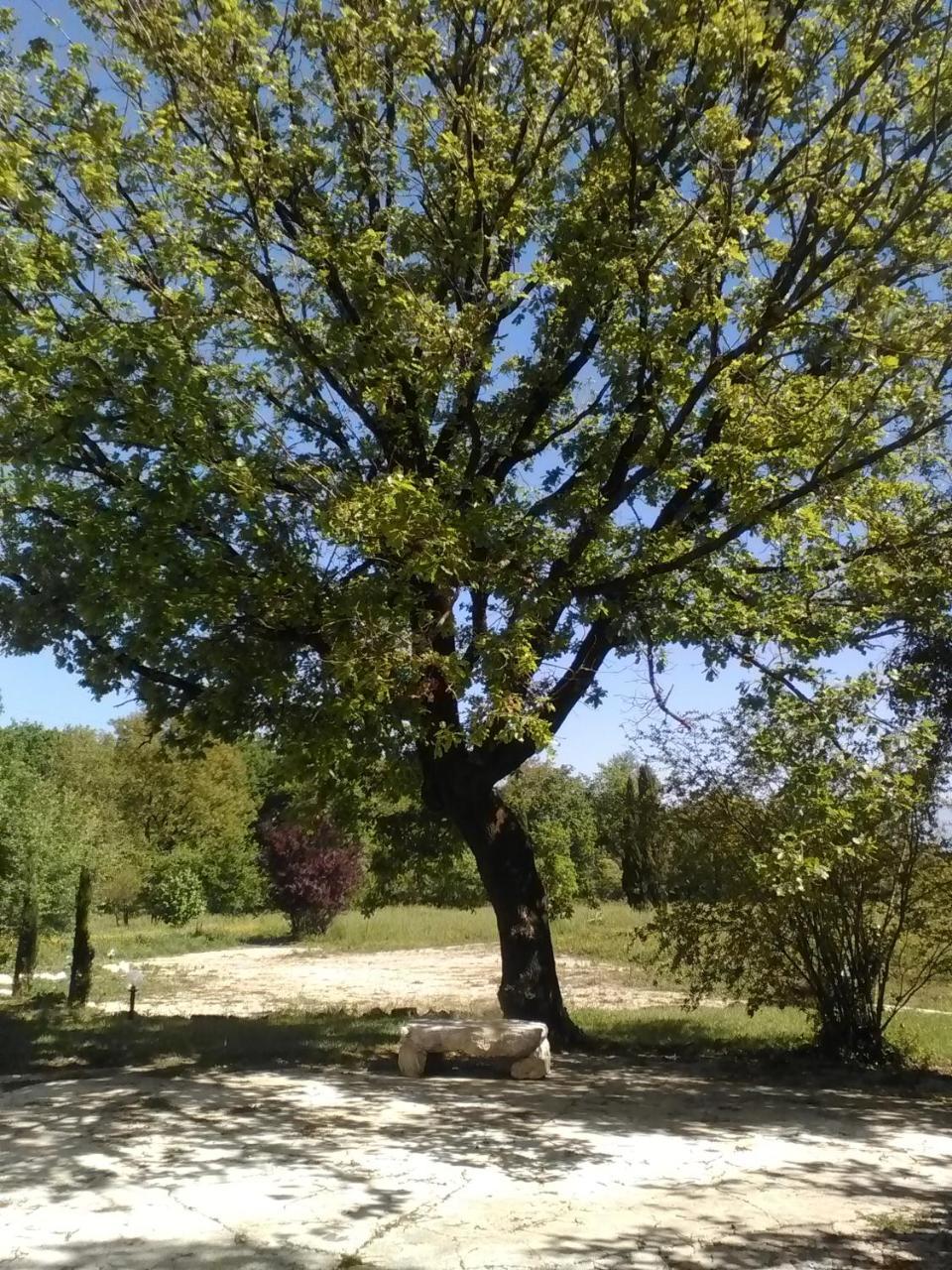 Willa Casina Di Pietra San Giorgio a Liri Zewnętrze zdjęcie